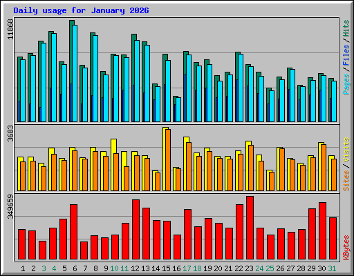 Daily usage for January 2026