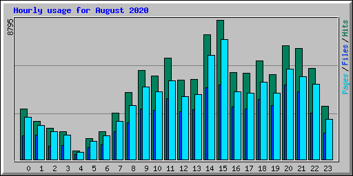 Hourly usage for August 2020