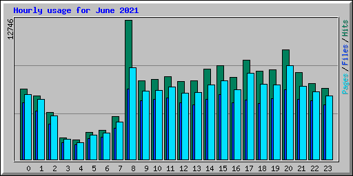 Hourly usage for June 2021