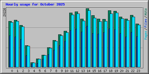 Hourly usage for October 2025