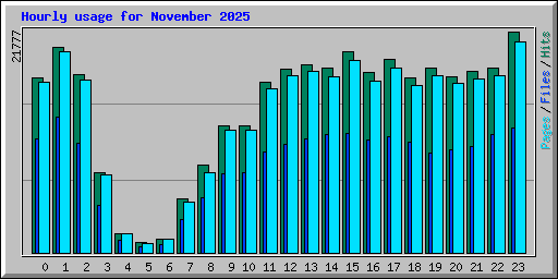 Hourly usage for November 2025