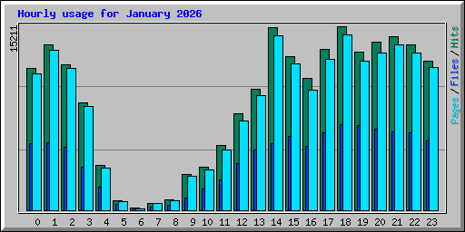 Hourly usage for January 2026