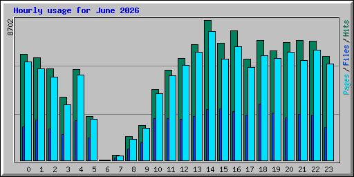 Hourly usage for June 2026