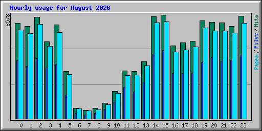 Hourly usage for August 2026